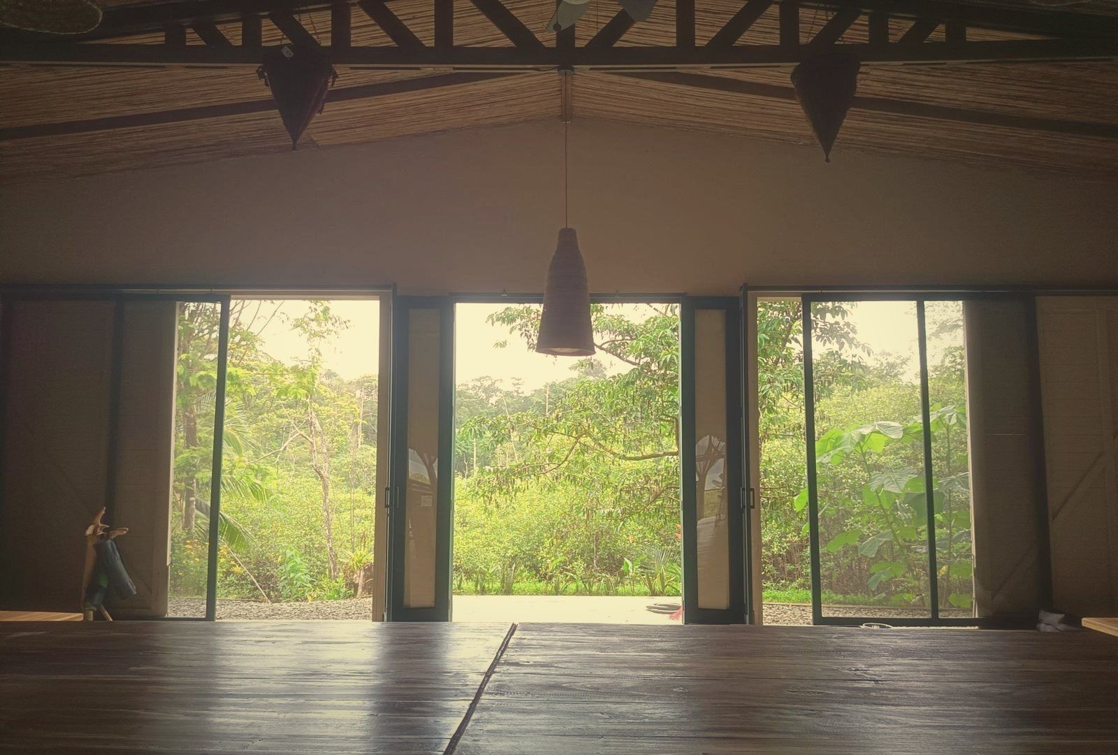 Sala abierta a la selva
